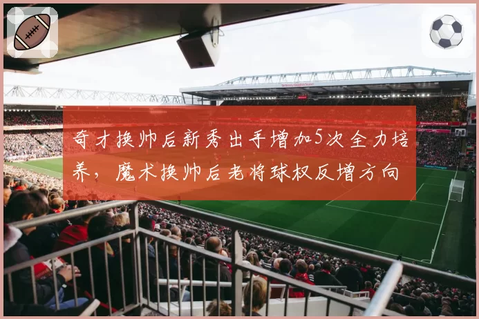 奇才换帅后新秀出手增加5次全力培养,魔术换帅后老将球权反增方向模糊