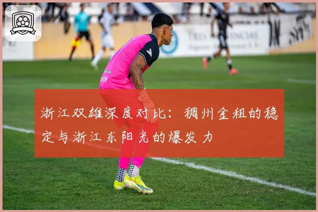 浙江双雄深度对比：稠州金租的稳定与浙江东阳光的爆发力