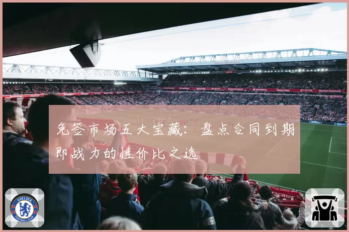 免签市场五大宝藏：盘点合同到期即战力的性价比之选