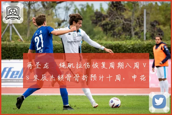 蒋圣龙腘绳肌拉伤恢复周期八周 vs 朱辰杰锁骨骨折预计十周,申花后防复出曲线各异