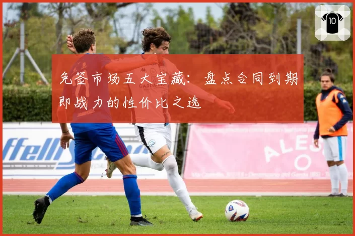 免签市场五大宝藏：盘点合同到期即战力的性价比之选