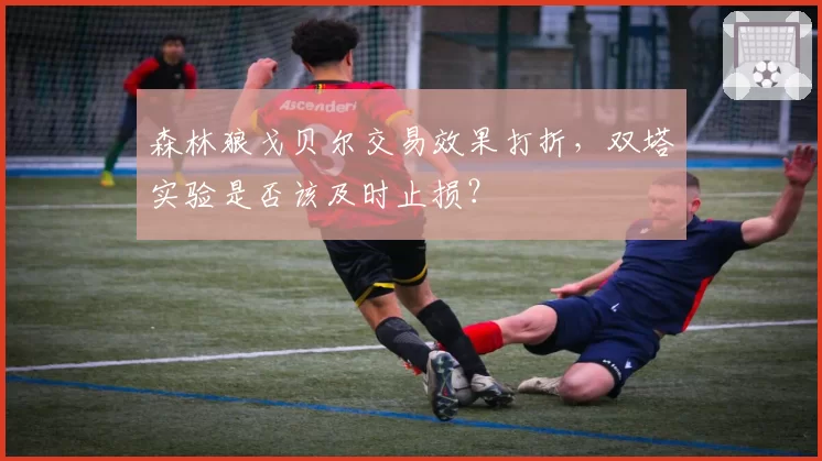 森林狼戈贝尔交易效果打折，双塔实验是否该及时止损？